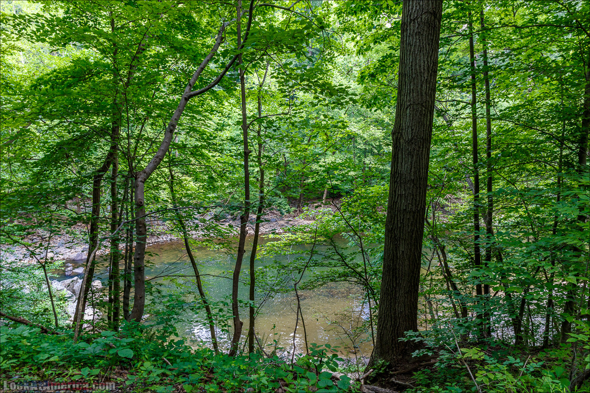 Сэвэдж Милл | LookAtAmerica.com - Большое Американское путешествие LookAtIsrael.com