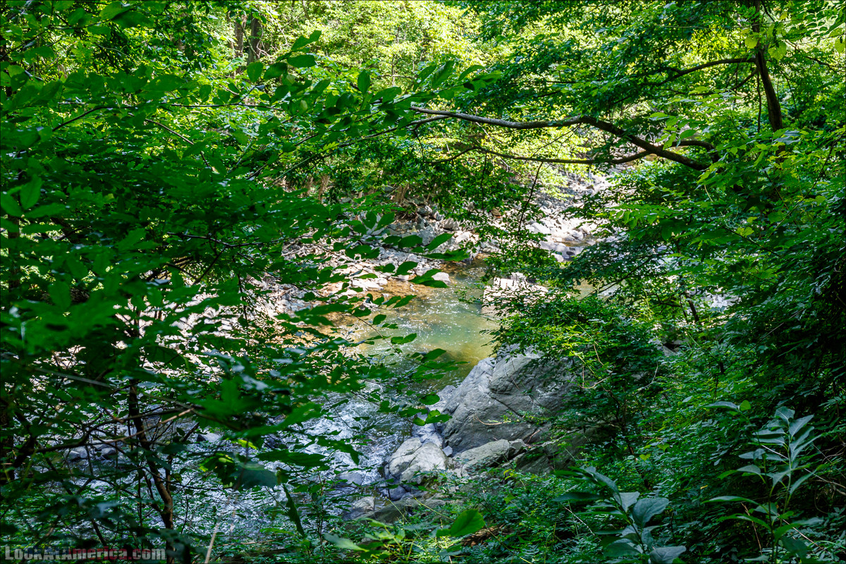 Сэвэдж Милл | LookAtAmerica.com - Большое Американское путешествие LookAtIsrael.com