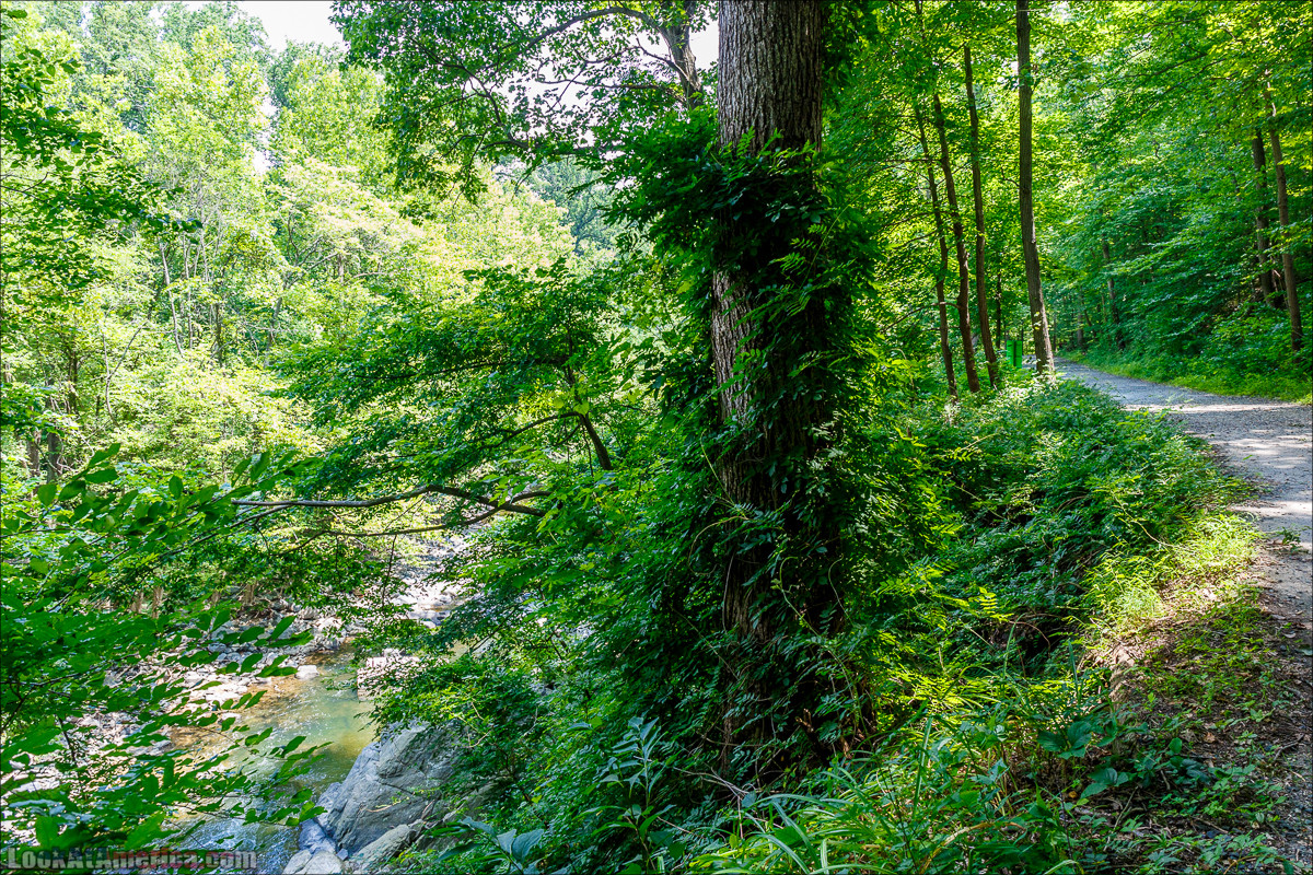 Сэвэдж Милл | LookAtAmerica.com - Большое Американское путешествие LookAtIsrael.com