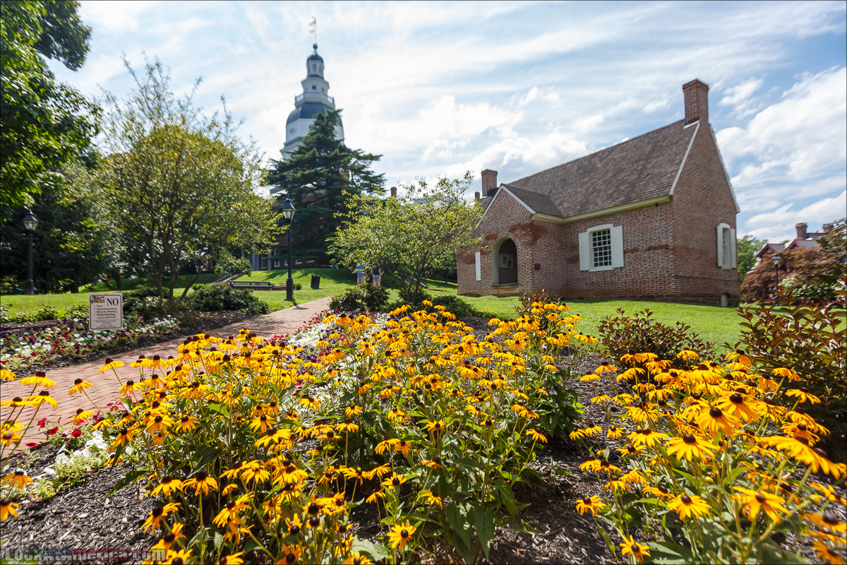 Аннаполис | LookAtAmerica.com - Большое Американское путешествие LookAtIsrael.com