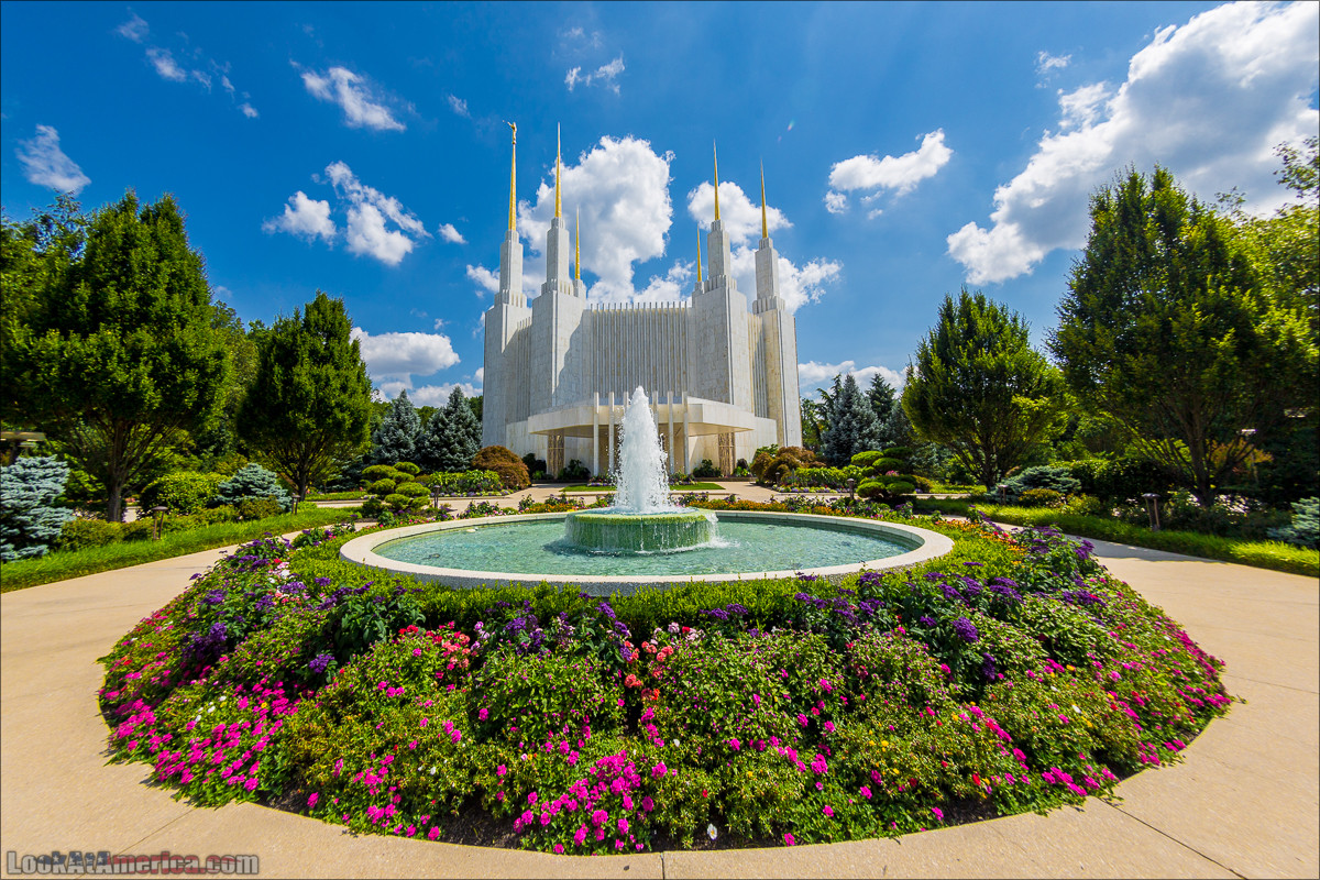 Сколько жён у трёх мормонов?