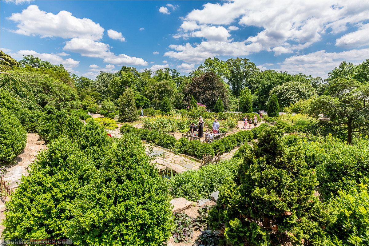 Мормоны и Вашингтонский кафедральный собор | LookAtAmerica.com - Большое Американское путешествие LookAtIsrael.com