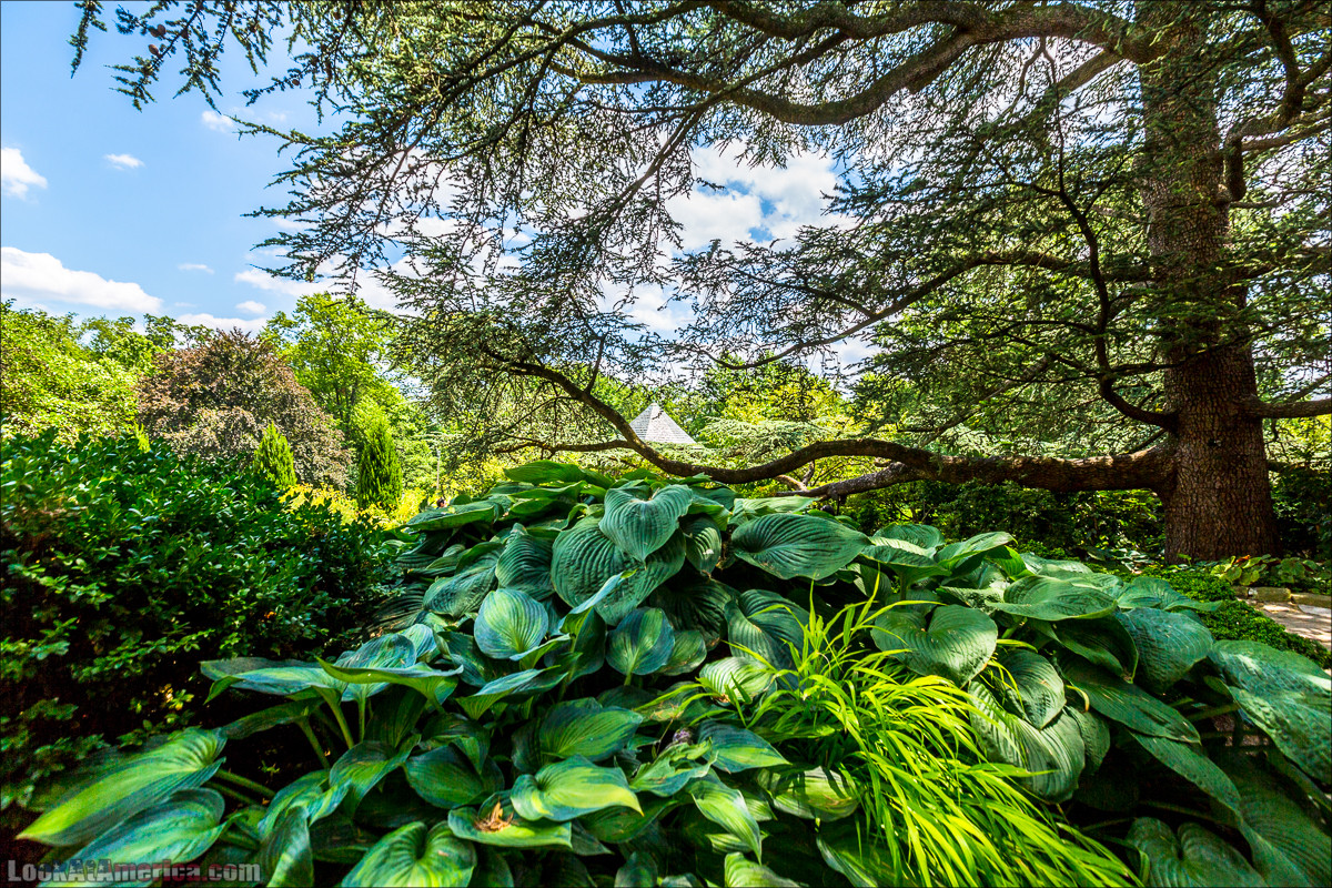 Мормоны и Вашингтонский кафедральный собор | LookAtAmerica.com - Большое Американское путешествие LookAtIsrael.com