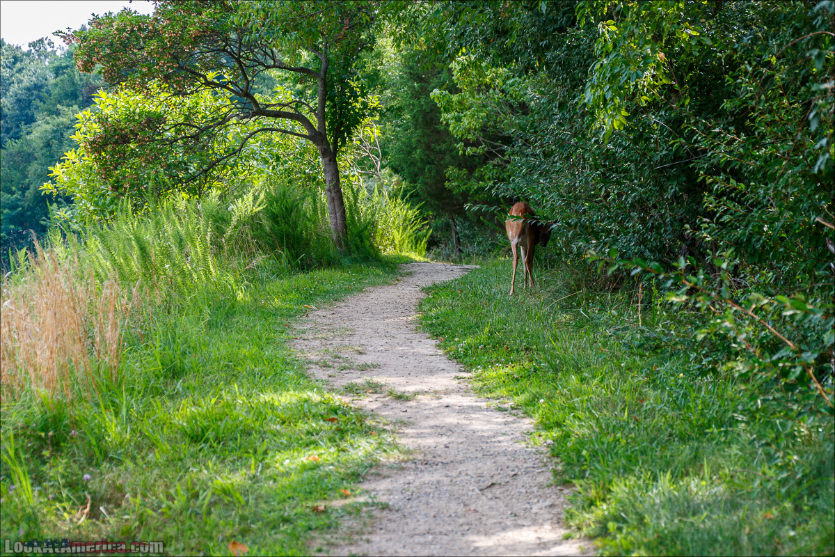 Харперс Ферри | Harpers Ferry | LookAtAmerica.com - Большое Американское путешествие LookAtIsrael.com