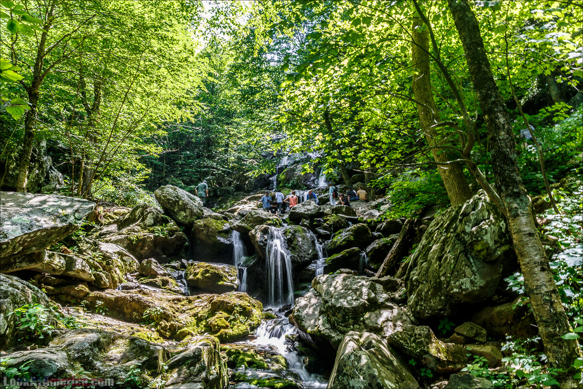 Водопад Dark Hollow Fall в парке Шенандоа | LookAtAmerica.com - Большое Американское путешествие LookAtIsrael.com