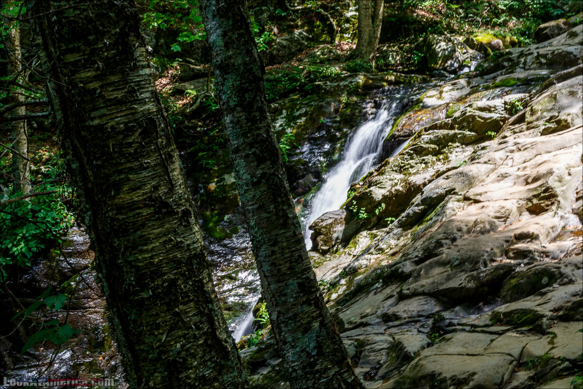 Водопад Dark Hollow Fall в парке Шенандоа | LookAtAmerica.com - Большое Американское путешествие LookAtIsrael.com