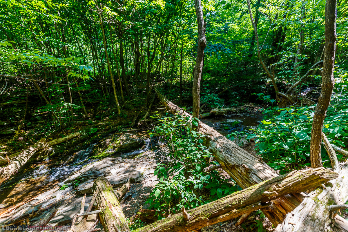 Водопад Dark Hollow Fall в парке Шенандоа | LookAtAmerica.com - Большое Американское путешествие LookAtIsrael.com