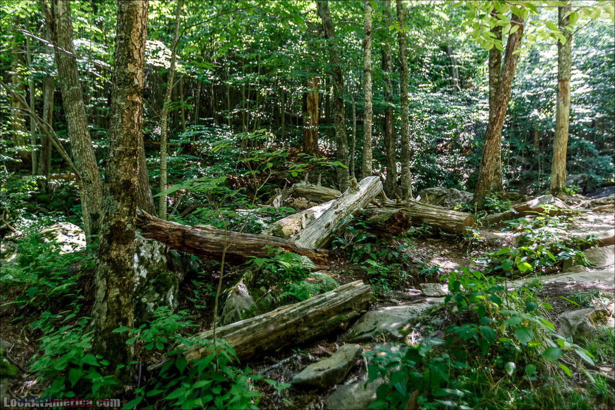 Водопад Dark Hollow Fall в парке Шенандоа | LookAtAmerica.com - Большое Американское путешествие LookAtIsrael.com