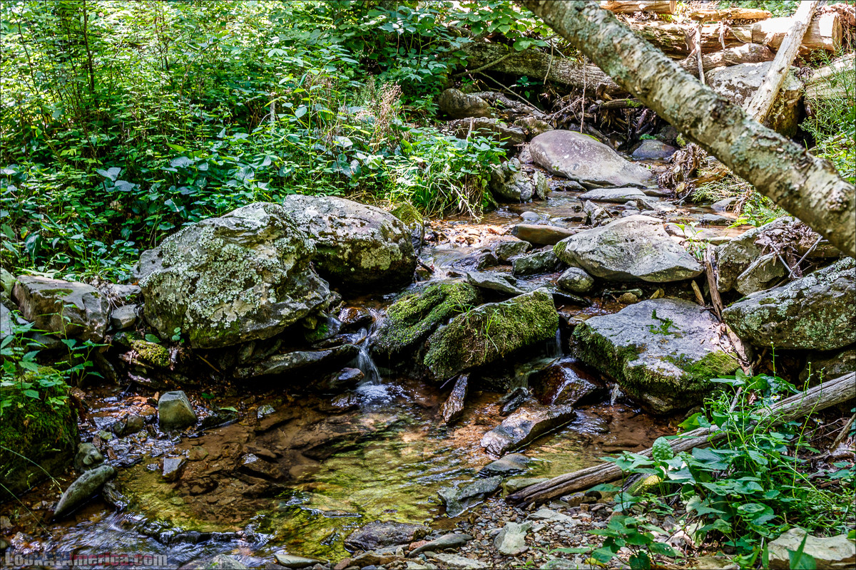 Водопад Dark Hollow Fall в парке Шенандоа | LookAtAmerica.com - Большое Американское путешествие LookAtIsrael.com