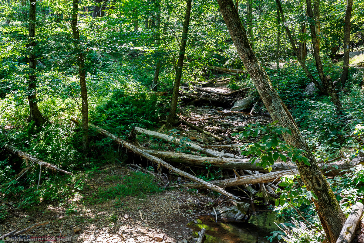 Водопад Dark Hollow Fall в парке Шенандоа | LookAtAmerica.com - Большое Американское путешествие LookAtIsrael.com