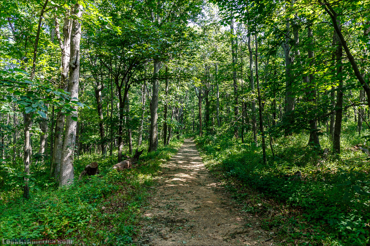Национальный парк Шенандоа | Shenandoah national park | LookAtAmerica.com - Большое Американское путешествие LookAtIsrael.com