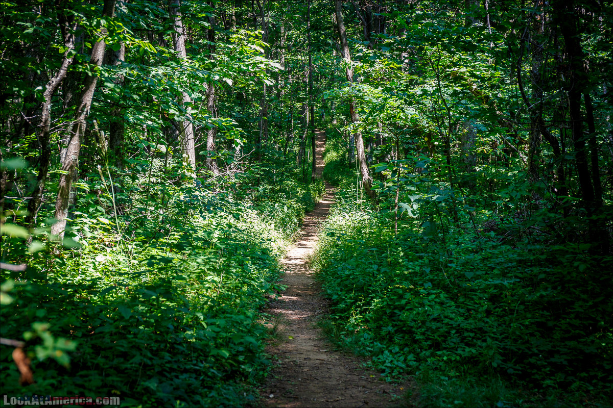 Национальный парк Шенандоа | Shenandoah national park | LookAtAmerica.com - Большое Американское путешествие LookAtIsrael.com