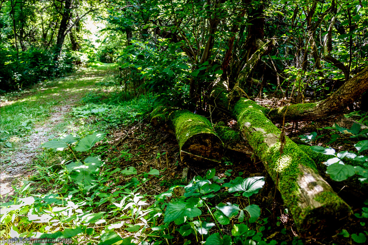 Национальный парк Шенандоа | Shenandoah national park | LookAtAmerica.com - Большое Американское путешествие LookAtIsrael.com