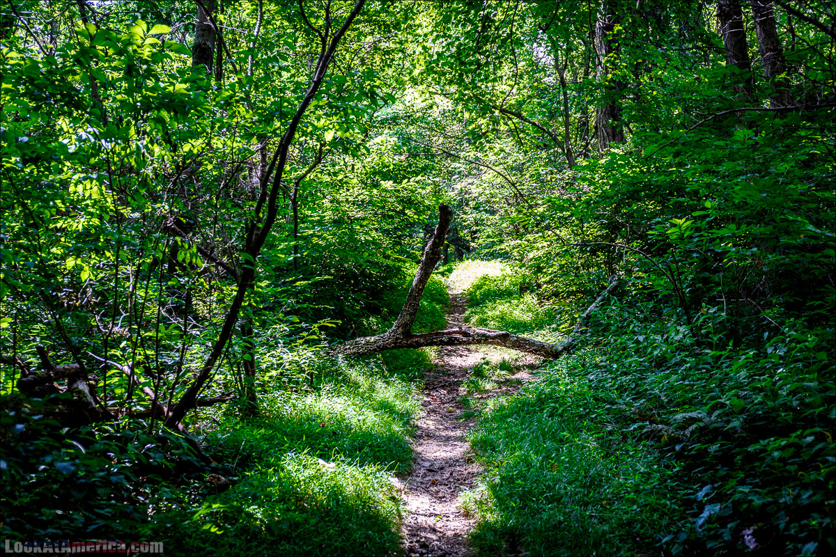 Национальный парк Шенандоа | Shenandoah national park | LookAtAmerica.com - Большое Американское путешествие LookAtIsrael.com