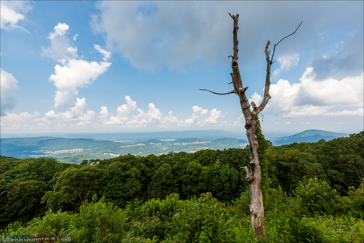 Национальный парк Шенандоа | Shenandoah national park | LookAtAmerica.com - Большое Американское путешествие LookAtIsrael.com
