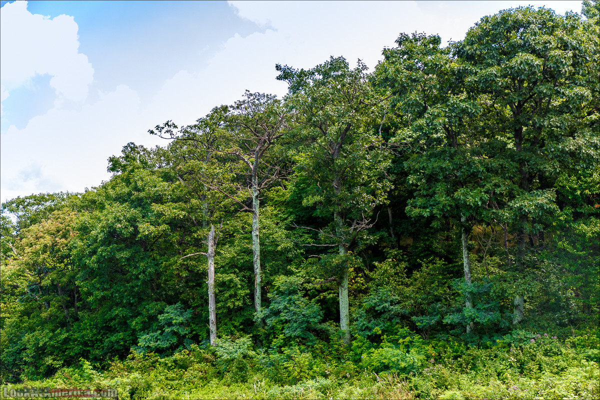 Национальный парк Шенандоа | Shenandoah national park | LookAtAmerica.com - Большое Американское путешествие LookAtIsrael.com