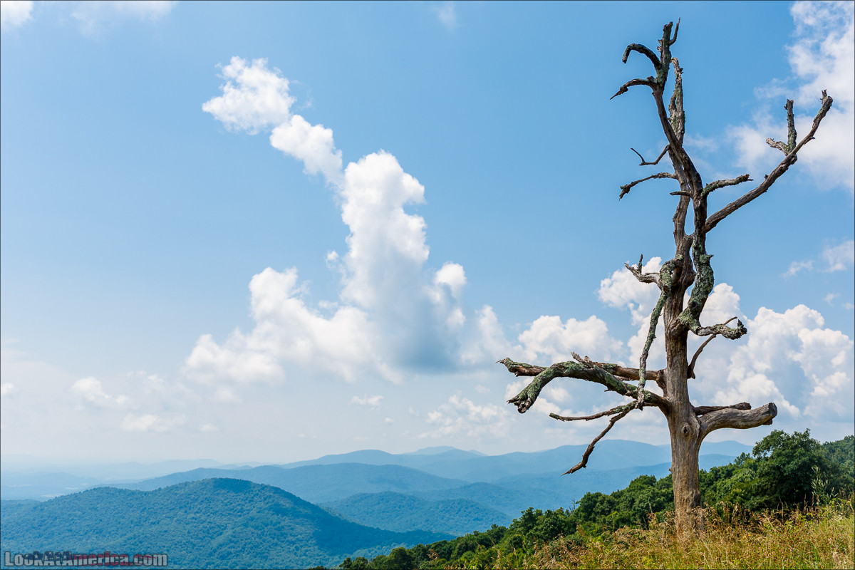 Национальный парк Шенандоа | Shenandoah national park | LookAtAmerica.com - Большое Американское путешествие LookAtIsrael.com