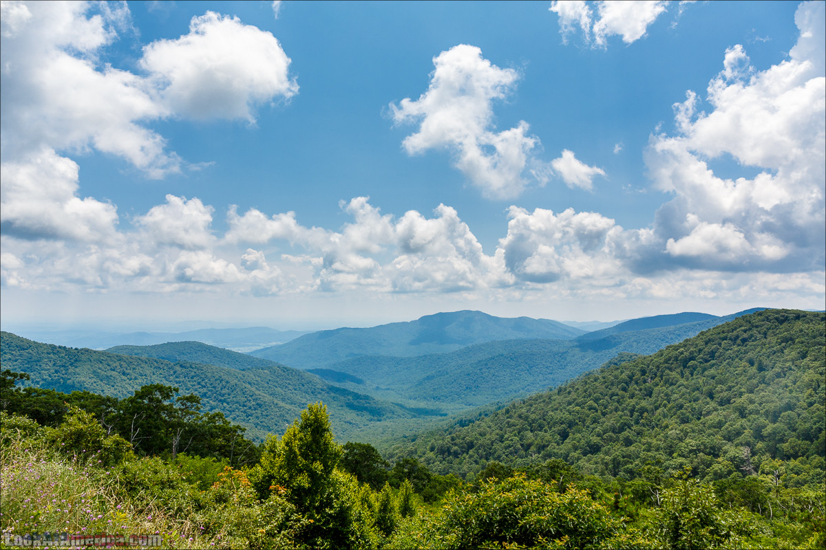 Национальный парк Шенандоа | Shenandoah national park | LookAtAmerica.com - Большое Американское путешествие LookAtIsrael.com