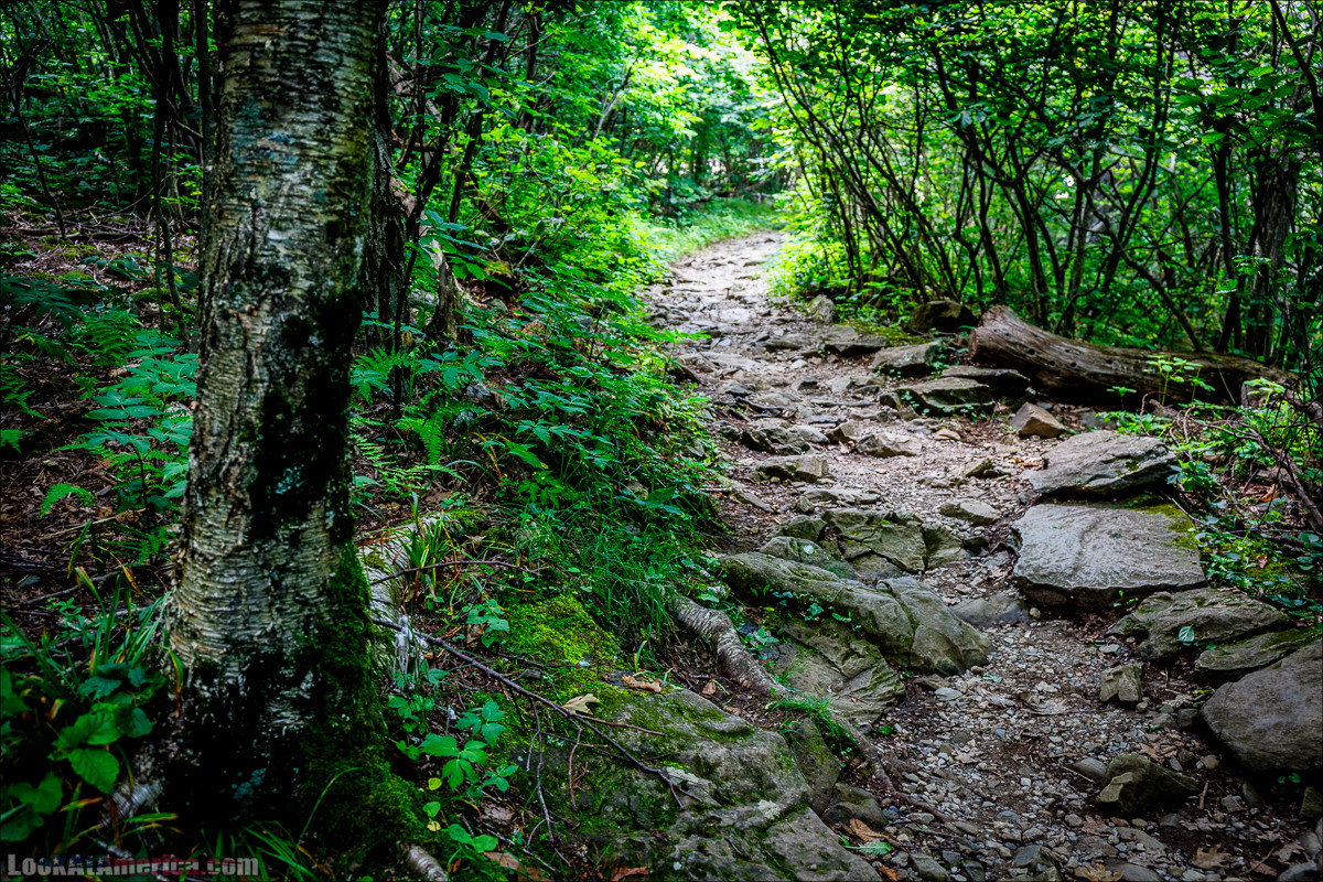 Национальный парк Шенандоа | Shenandoah national park | LookAtAmerica.com - Большое Американское путешествие LookAtIsrael.com