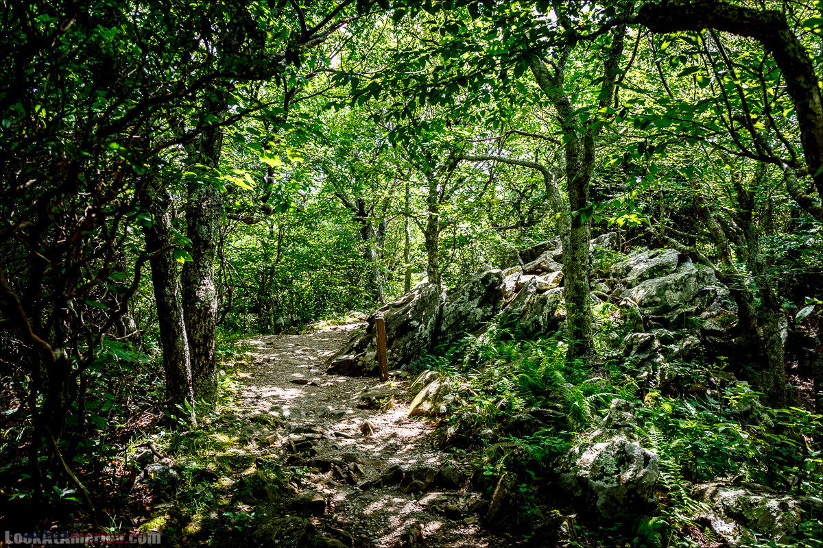 Национальный парк Шенандоа | Shenandoah national park | LookAtAmerica.com - Большое Американское путешествие LookAtIsrael.com