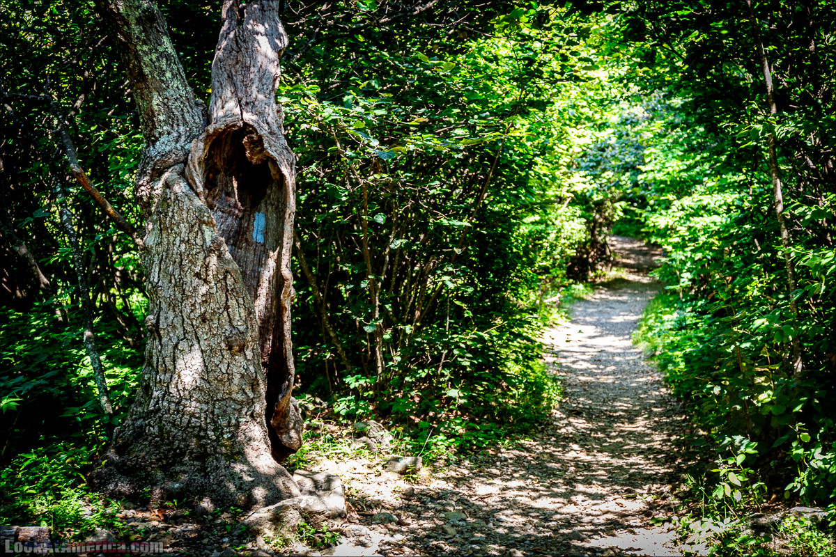 Национальный парк Шенандоа | Shenandoah national park | LookAtAmerica.com - Большое Американское путешествие LookAtIsrael.com