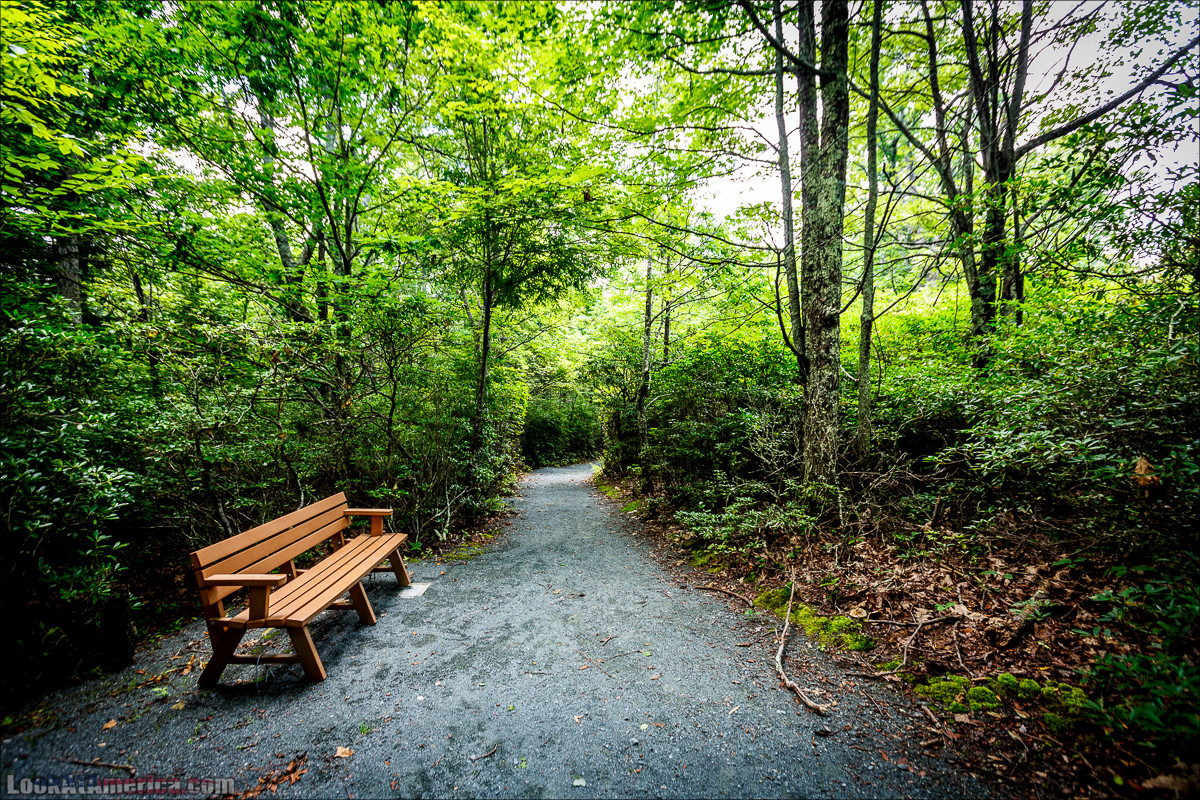Национальный парк Шенандоа | Shenandoah national park | LookAtAmerica.com - Большое Американское путешествие LookAtIsrael.com