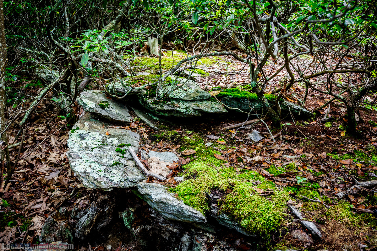 Национальный парк Шенандоа | Shenandoah national park | LookAtAmerica.com - Большое Американское путешествие LookAtIsrael.com