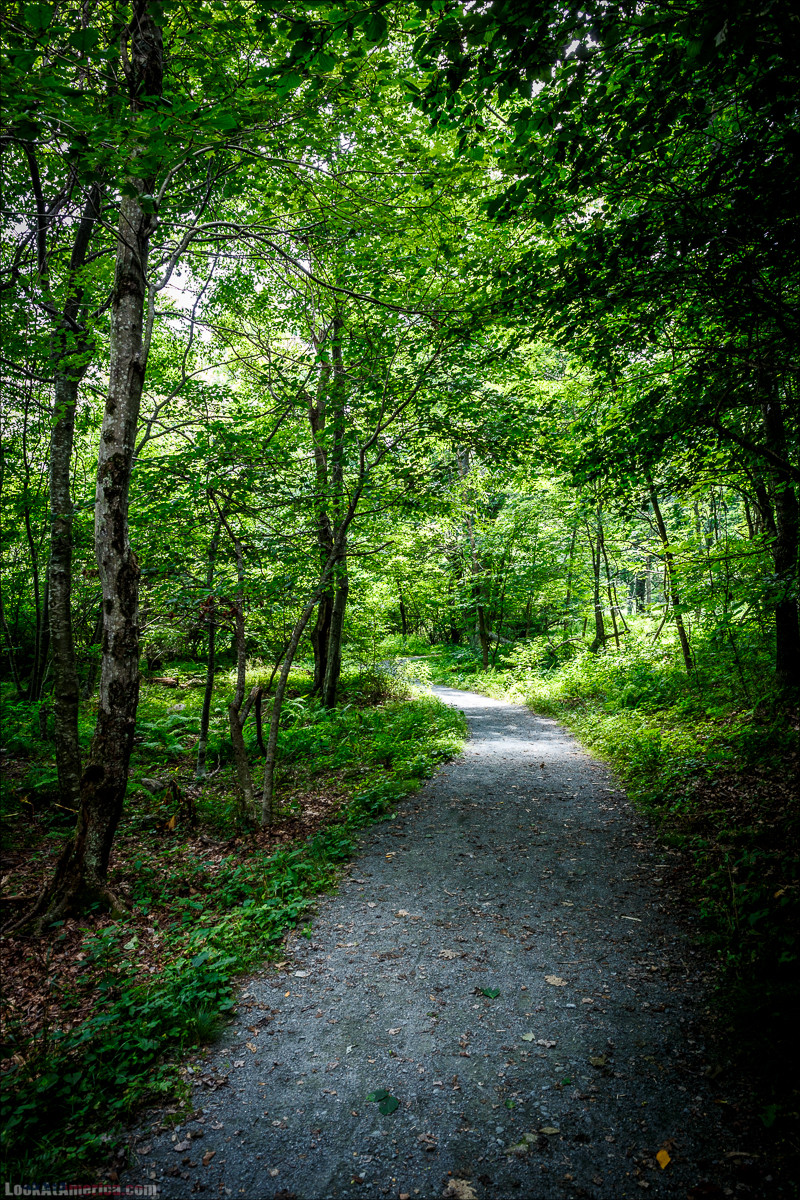 Национальный парк Шенандоа | Shenandoah national park | LookAtAmerica.com - Большое Американское путешествие LookAtIsrael.com