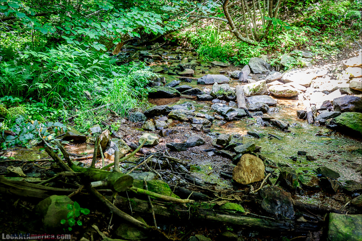 Национальный парк Шенандоа | Shenandoah national park | LookAtAmerica.com - Большое Американское путешествие LookAtIsrael.com