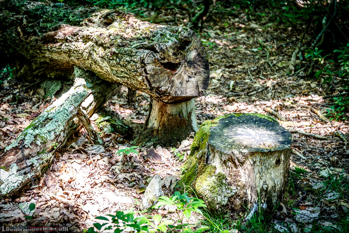 Национальный парк Шенандоа | Shenandoah national park | LookAtAmerica.com - Большое Американское путешествие LookAtIsrael.com