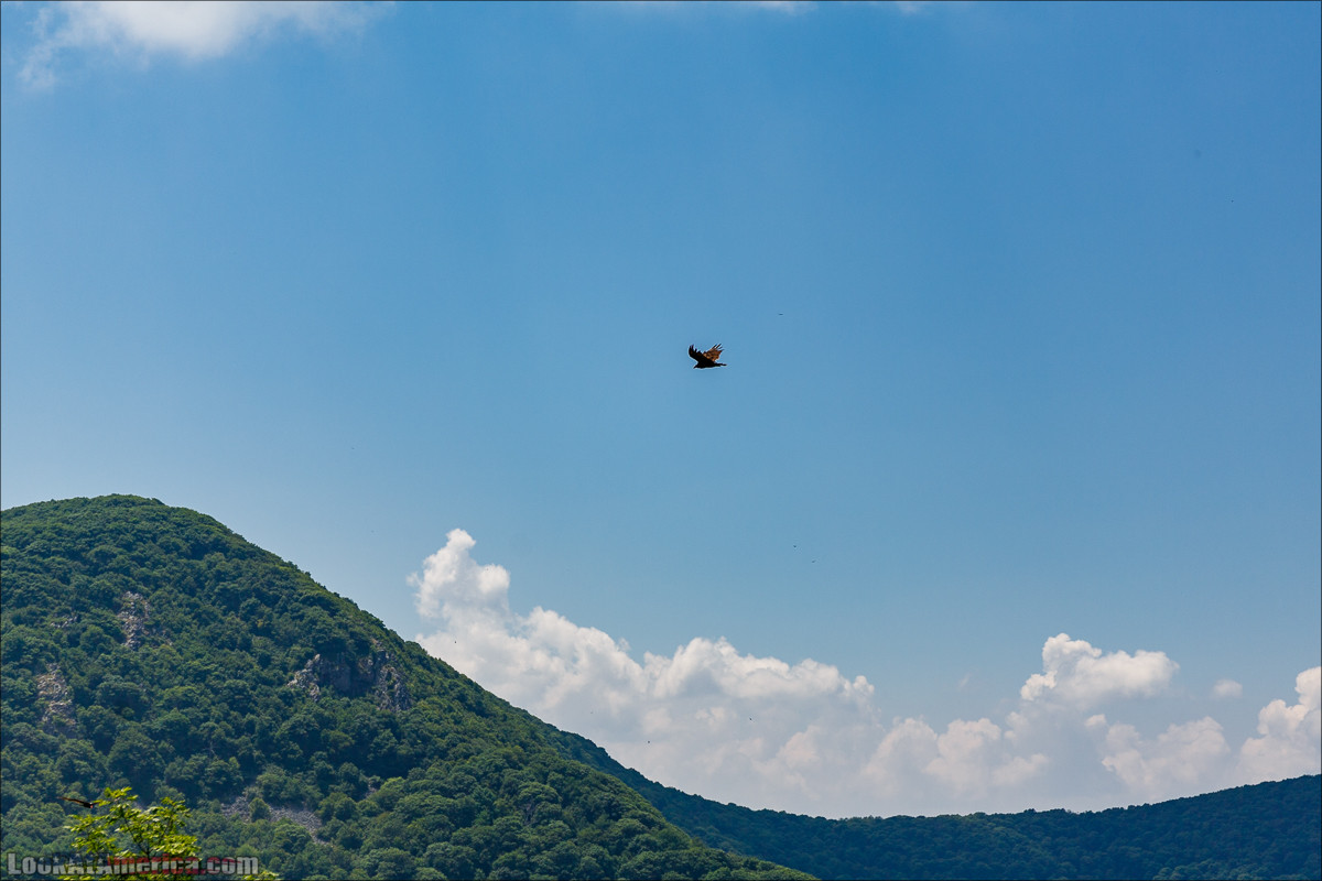 Национальный парк Шенандоа | Shenandoah national park | LookAtAmerica.com - Большое Американское путешествие LookAtIsrael.com