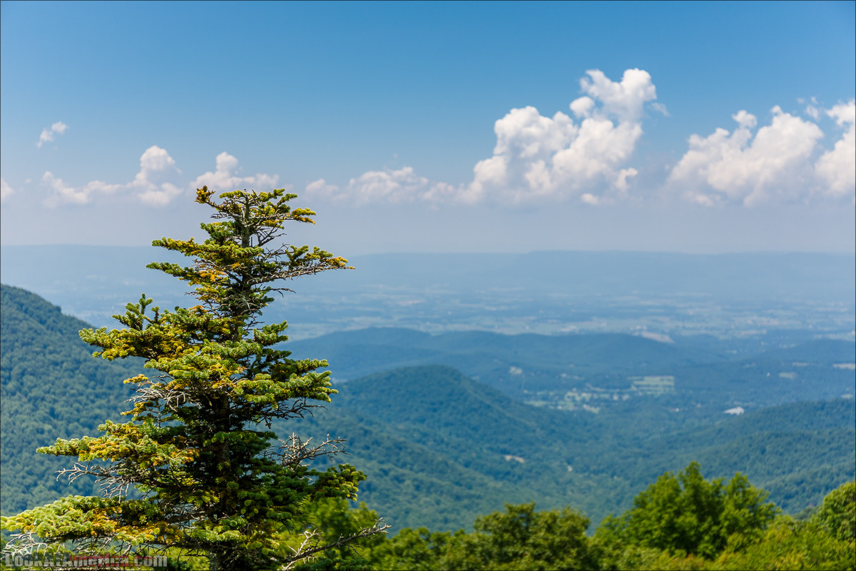 Национальный парк Шенандоа | Shenandoah national park | LookAtAmerica.com - Большое Американское путешествие LookAtIsrael.com
