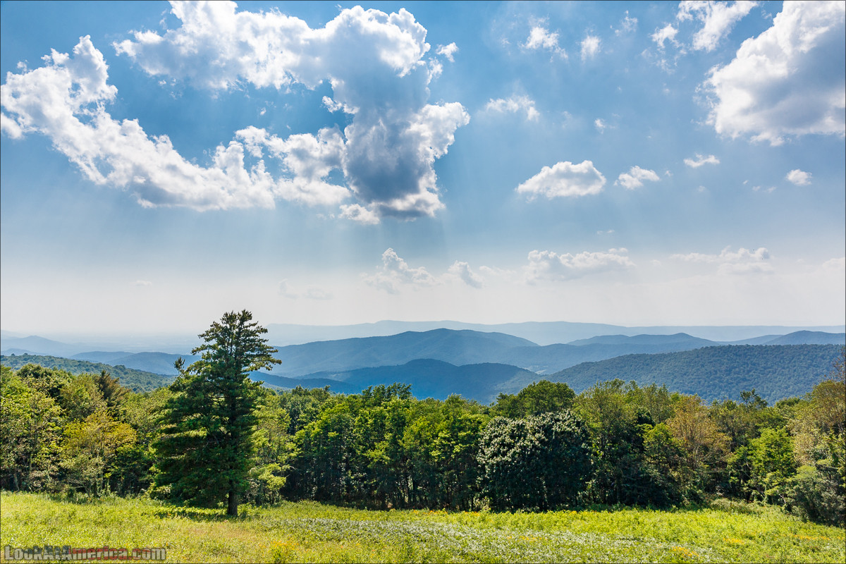 Национальный парк Шенандоа | Shenandoah national park | LookAtAmerica.com - Большое Американское путешествие LookAtIsrael.com