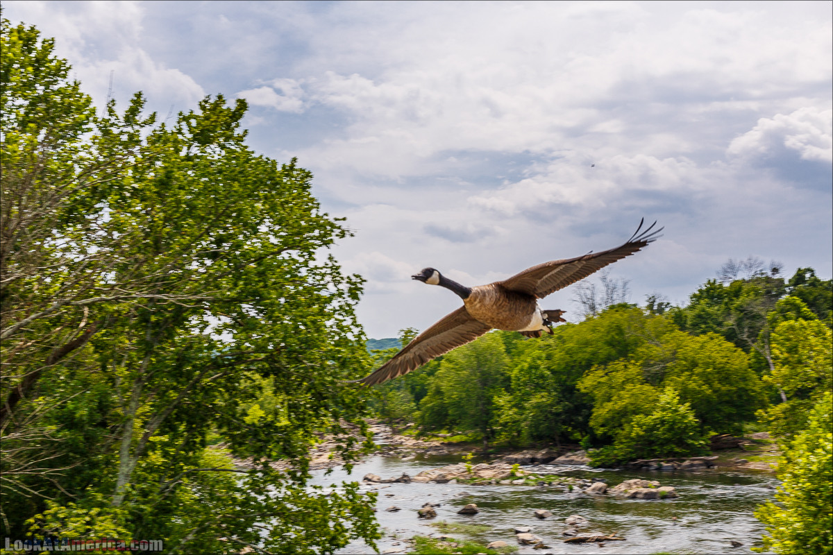 Водопады на реке Патомак. Национальный парк Грейт Фолс | Great Falls of Patowmack | LookAtAmerica.com - Большое Американское путешествие LookAtIsrael.com
