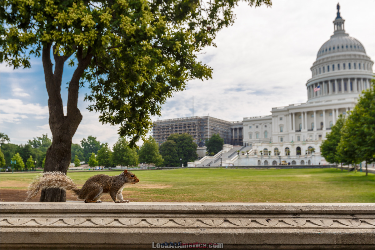 Путешествие по США | LookAtAmerica.com - Большое Американское путешествие LookAtIsrael.com