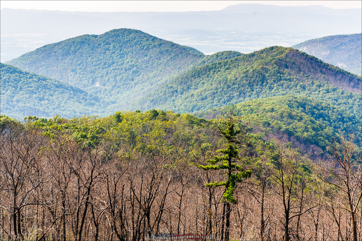 Путешествие по США | LookAtAmerica.com - Большое Американское путешествие LookAtIsrael.com