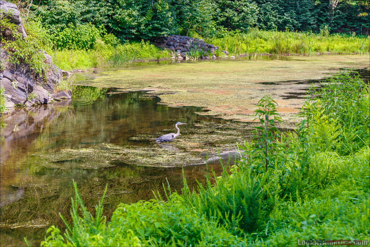 Путешествие по США | LookAtAmerica.com - Большое Американское путешествие LookAtIsrael.com