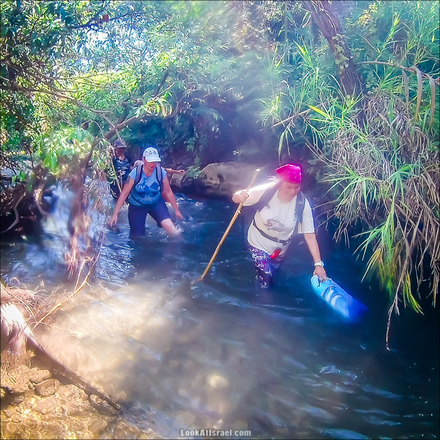 Поход по джунглям ручья Хермон (Баниас) | LookAtIsrael.com - Фото путешествия по Израилю