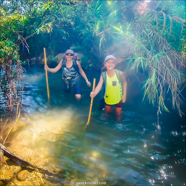 Поход по джунглям ручья Хермон (Баниас) | LookAtIsrael.com - Фото путешествия по Израилю