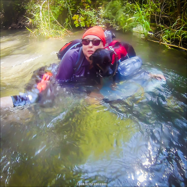 Поход по джунглям ручья Хермон (Баниас) | LookAtIsrael.com - Фото путешествия по Израилю