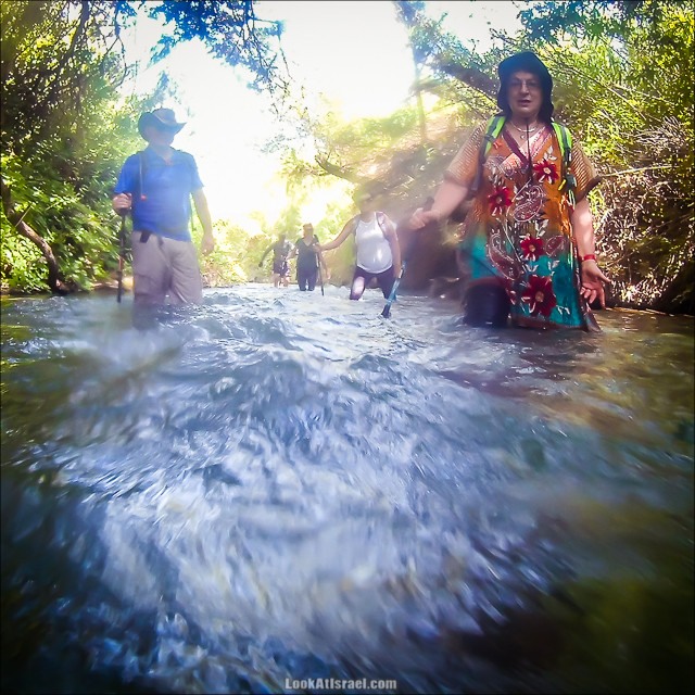 Поход по джунглям ручья Хермон (Баниас) | LookAtIsrael.com - Фото путешествия по Израилю
