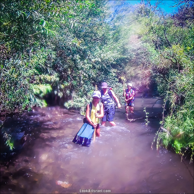 Поход по джунглям ручья Хермон (Баниас) | LookAtIsrael.com - Фото путешествия по Израилю