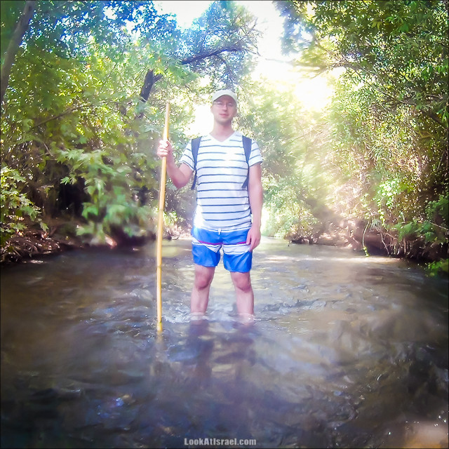 Поход по джунглям ручья Хермон (Баниас) | LookAtIsrael.com - Фото путешествия по Израилю
