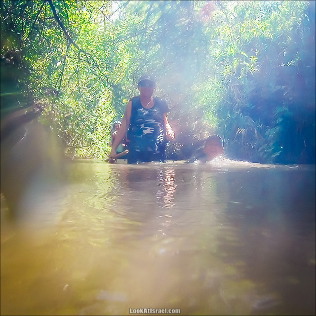 Поход по джунглям ручья Хермон (Баниас) | LookAtIsrael.com - Фото путешествия по Израилю