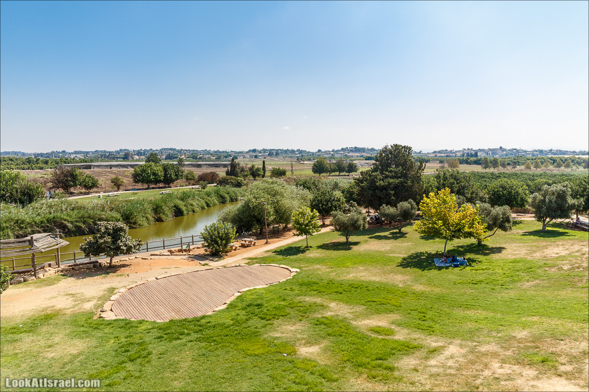 Ручей Александр, черепахи, природа и бездорожье | LookAtIsrael.com - Фото путешествия по Израилю