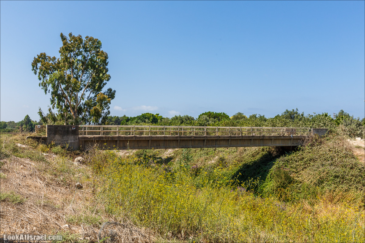 Ручей Александр, черепахи, природа и бездорожье | LookAtIsrael.com - Фото путешествия по Израилю