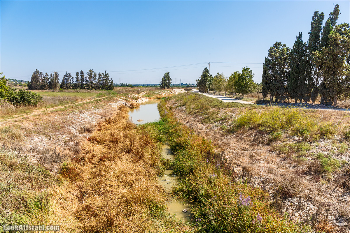 Ручей Александр, черепахи, природа и бездорожье | LookAtIsrael.com - Фото путешествия по Израилю