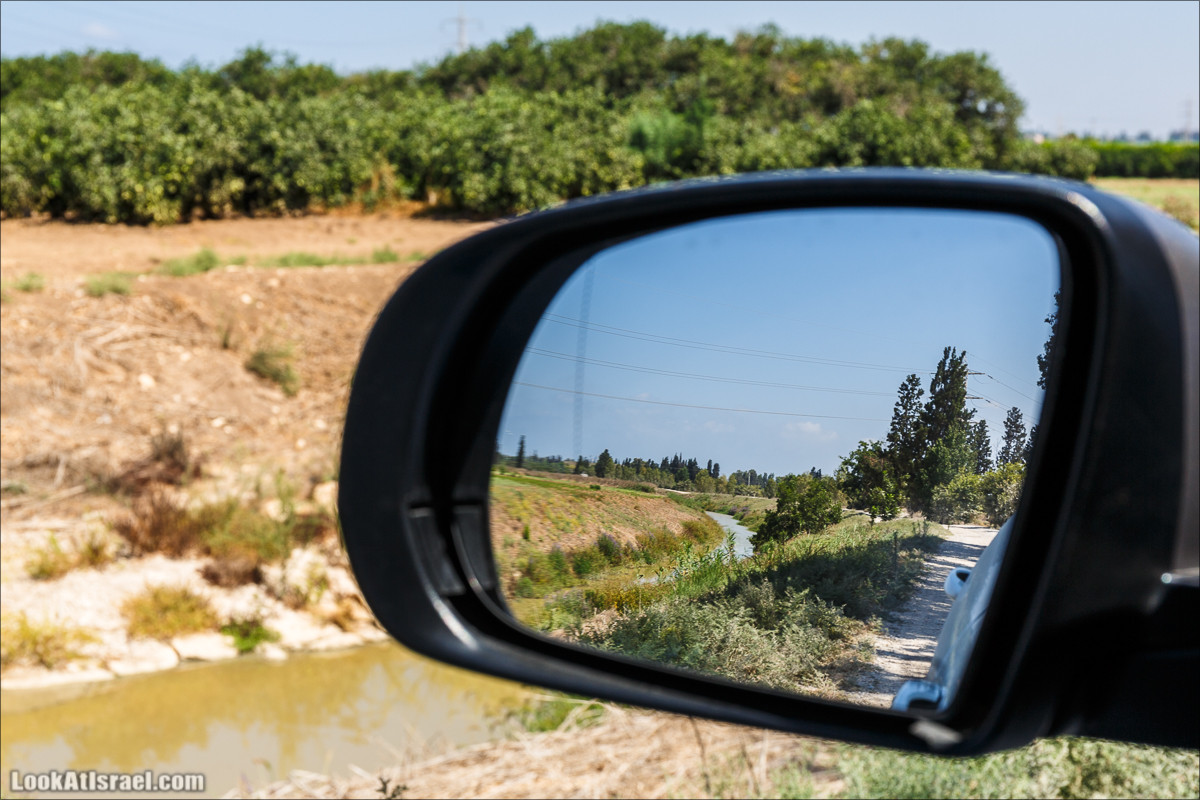 Ручей Александр, черепахи, природа и бездорожье | LookAtIsrael.com - Фото путешествия по Израилю