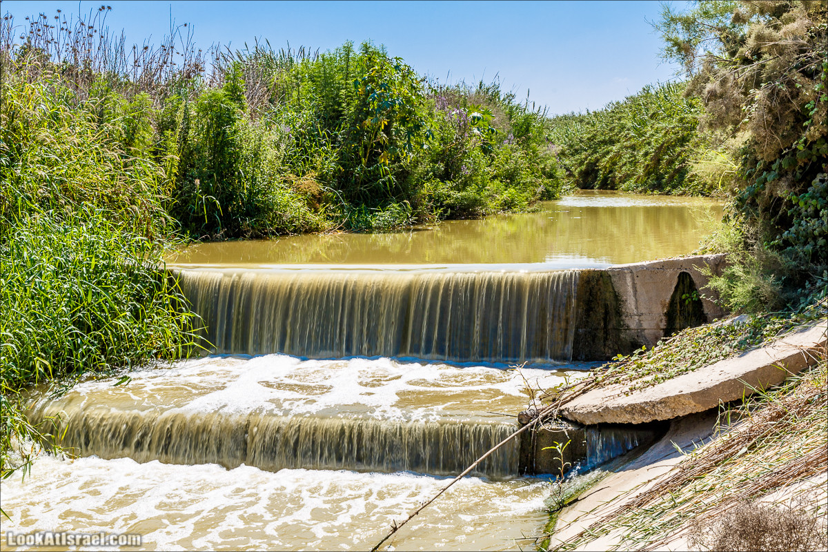 Ручей Александр, черепахи, природа и бездорожье | LookAtIsrael.com - Фото путешествия по Израилю
