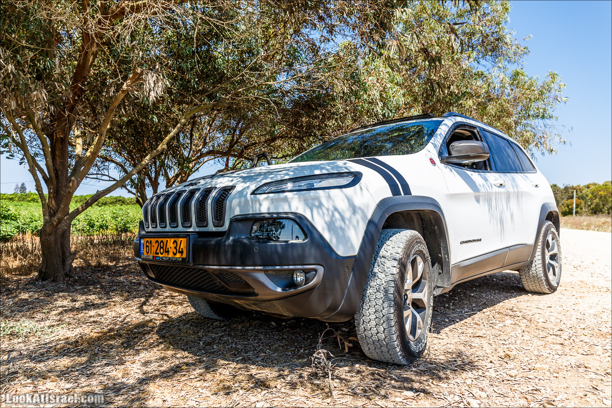 Ручей Александр, черепахи, природа и бездорожье | LookAtIsrael.com - Фото путешествия по Израилю